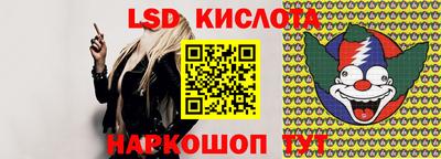 прущие грибы Краснознаменск