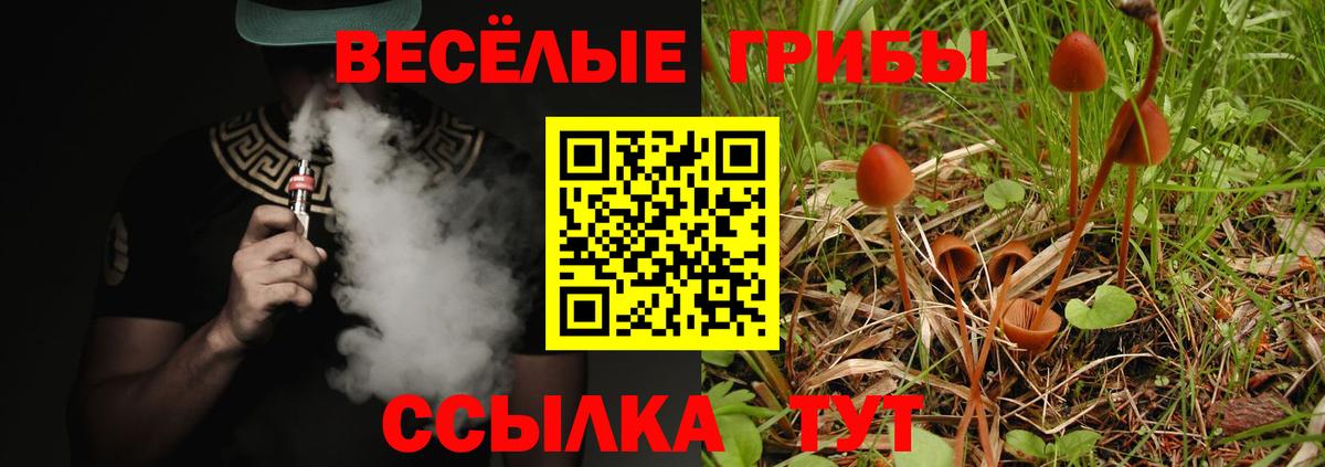 Королёв  Галлюциногенные грибы мицелий  Вход с VPN 