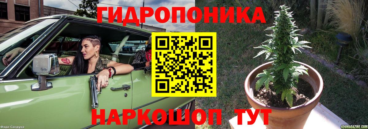 Конопля конопля  Вход с VPN  Конопля семена  Королёв  Бошки Шишки AK-47 